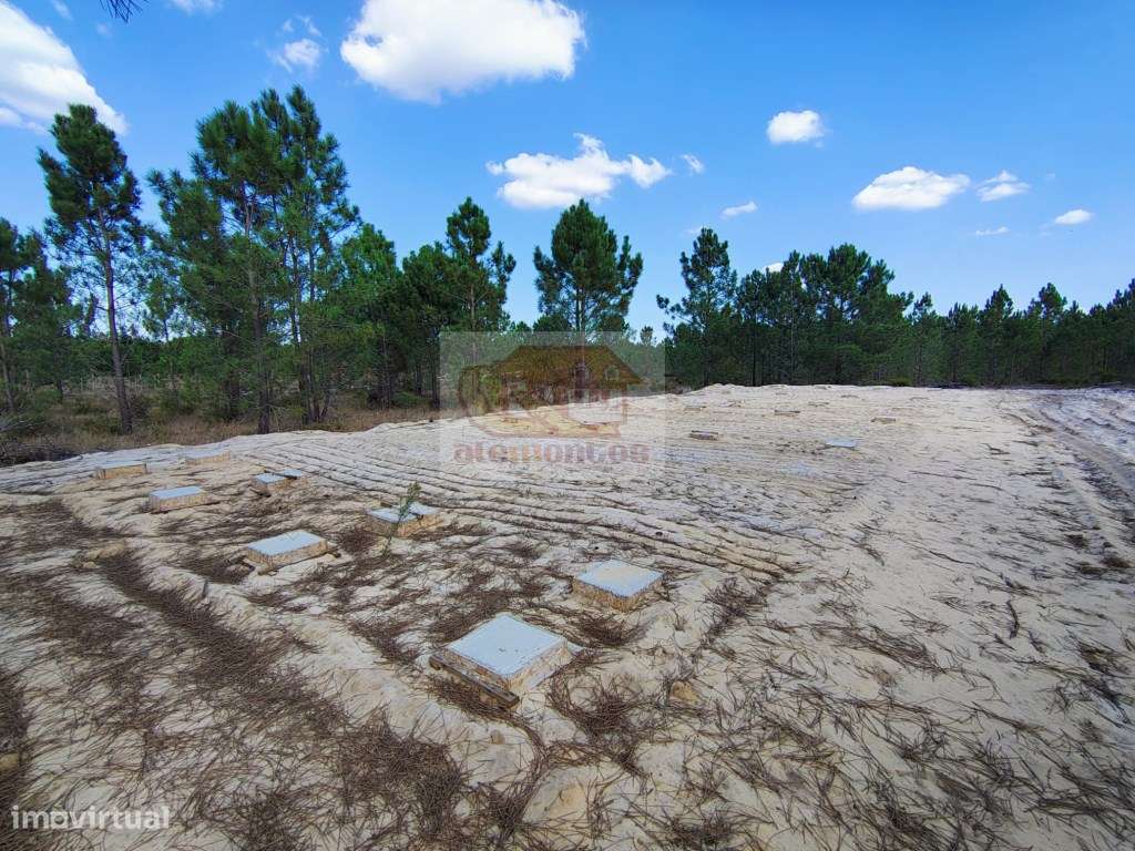 Terreno com 2.6 ha na Muda- PRONTO A CONSTRUIR - Grande imagem: 4/10