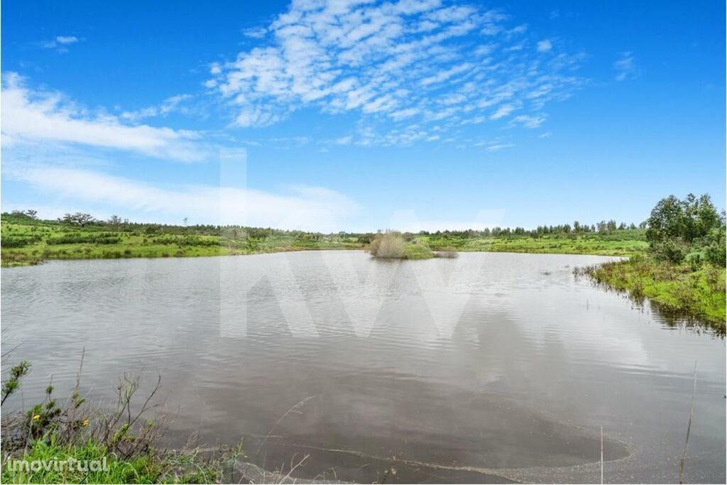 HERDADE Para Venda |Grândola| 228 hectares | Setúbal