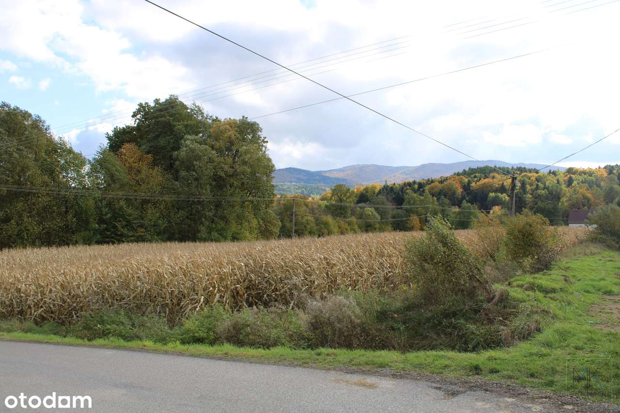 Kierlikówka - działka budowlano-rolna w spokojnej okolicy.-7