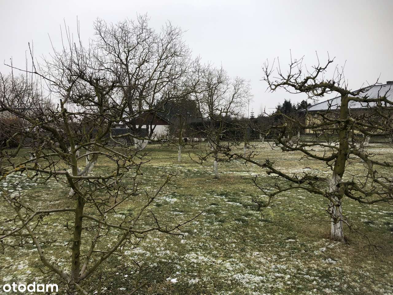 ATRAKCYJNA DZIAŁKA BUDOWLANA W  BACZYNIE-9
