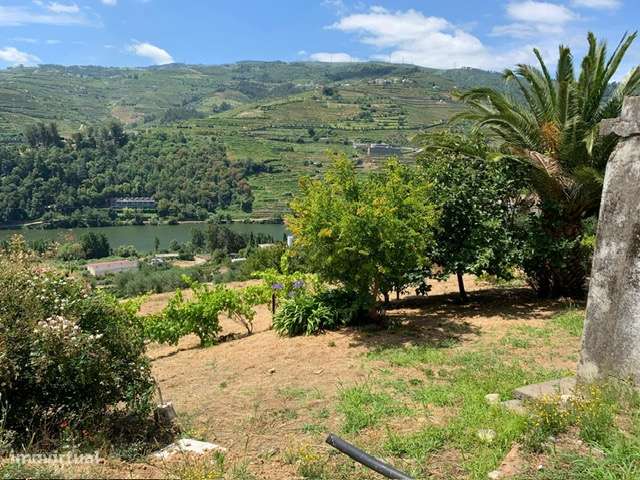 Terreno no Douro/Regua com Projecto aprovado para Moradia-8