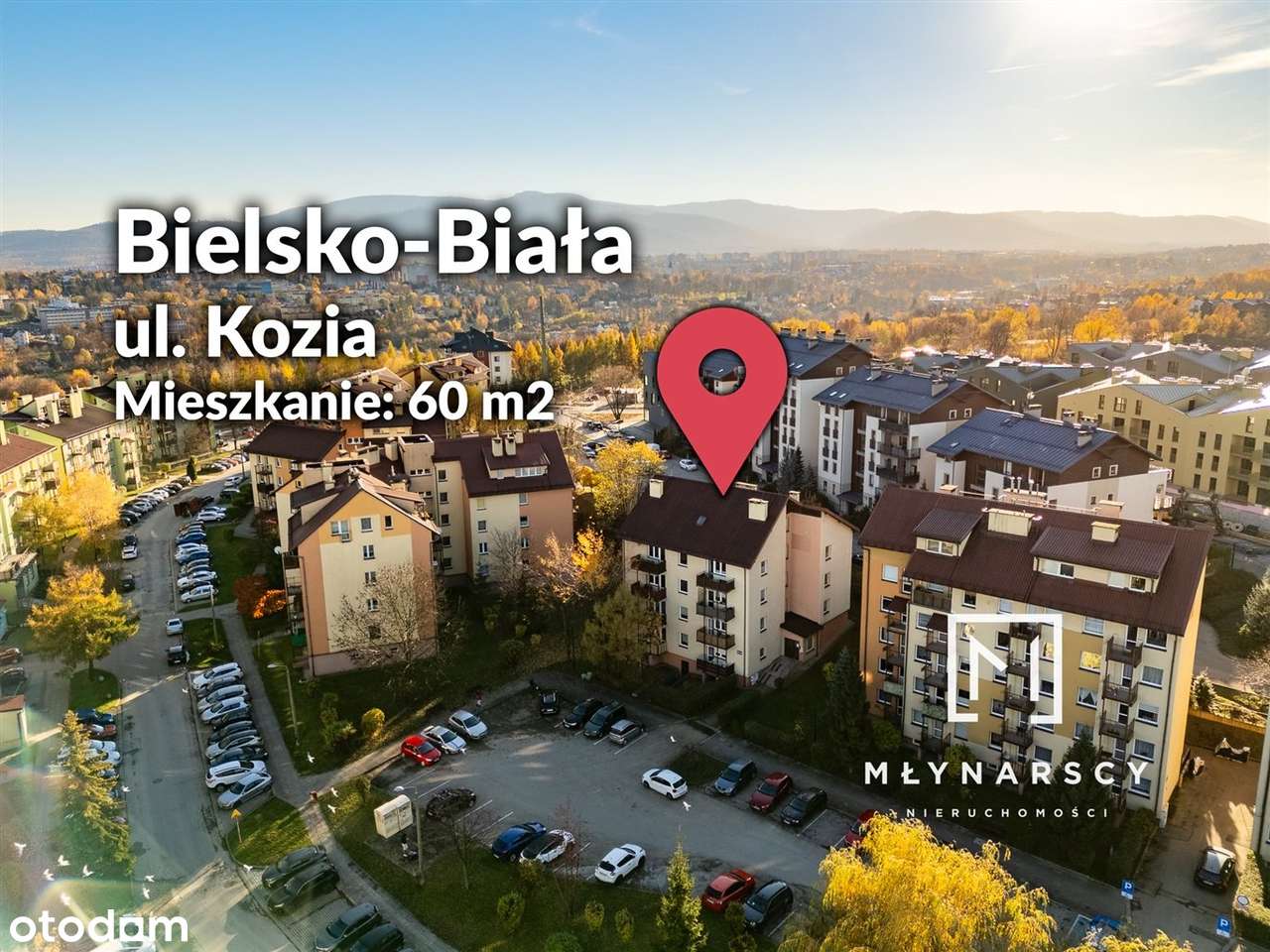 Przestronne mieszkanie | 3 pokoje | do adaptacji - Pełny obrazek: 2/20