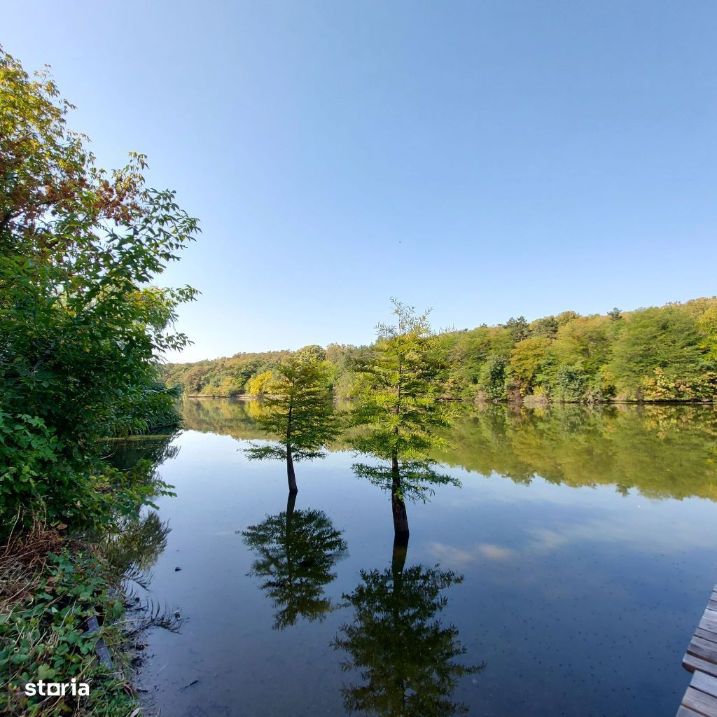 Paradis de vanzare- Branesti- Vila cu deschidere lacul Pasarea