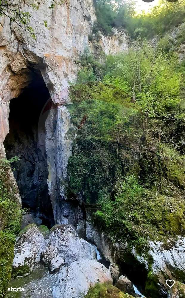 Teren 20,000mp Drobeta Turnu-Severin / Aleea La bogobia - Imagine principală: 5/5