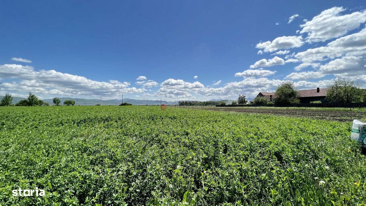 Teren intravilan Zona Metropolitana Brasov - Imagine principală: 3/13