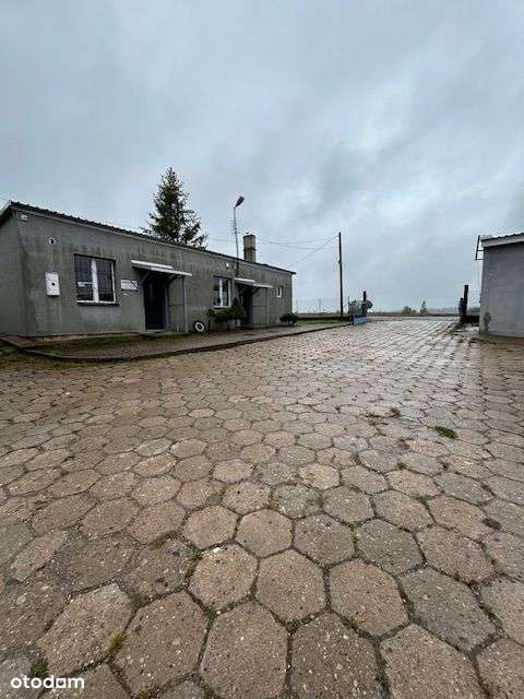 Kompleks nieruchomości w Raczkach, OD SYNYDKA. - Pełny obrazek: 3/8