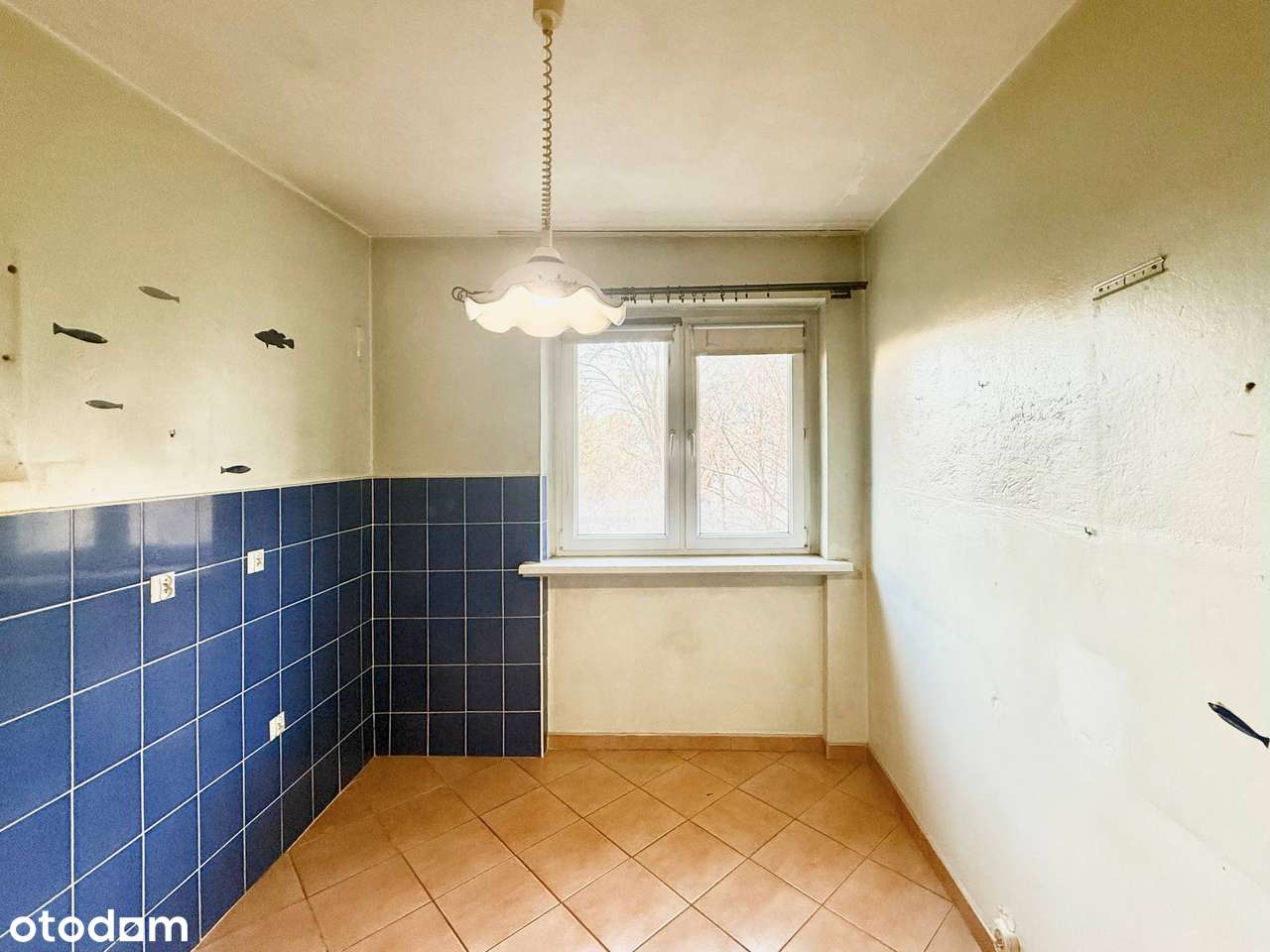 Okazja! Duże możliwości | ul. Podwale| Idealne pod inwestycję | 42,5m2-1