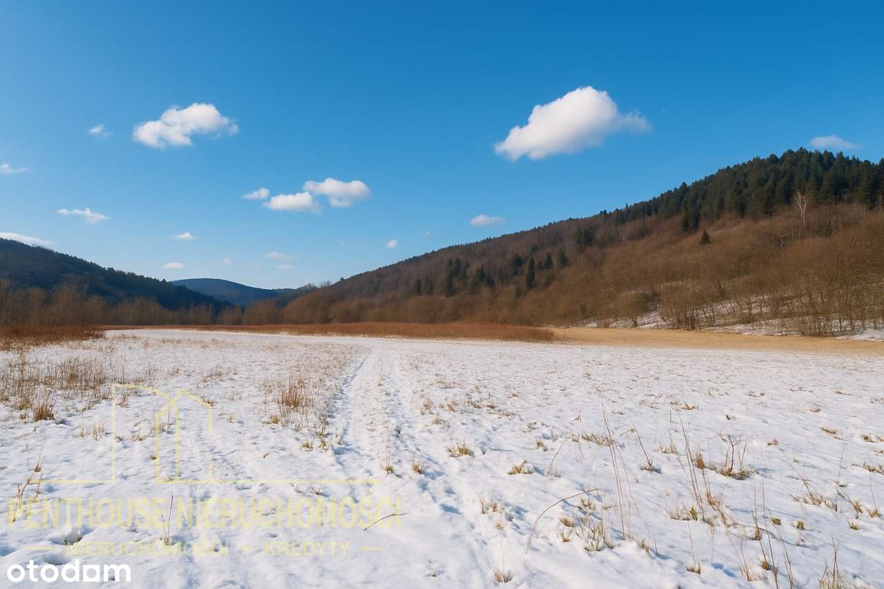 Potencjał inwestycyjny – unikatowa możliwość zabudowy-0