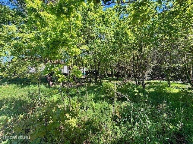 Terreno para construção em Valongo do Vouga - Grande imagem: 4/12