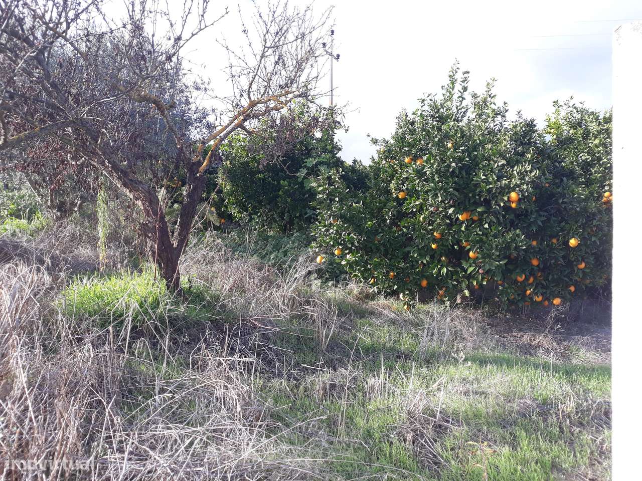 Quinta  em Beringel-45