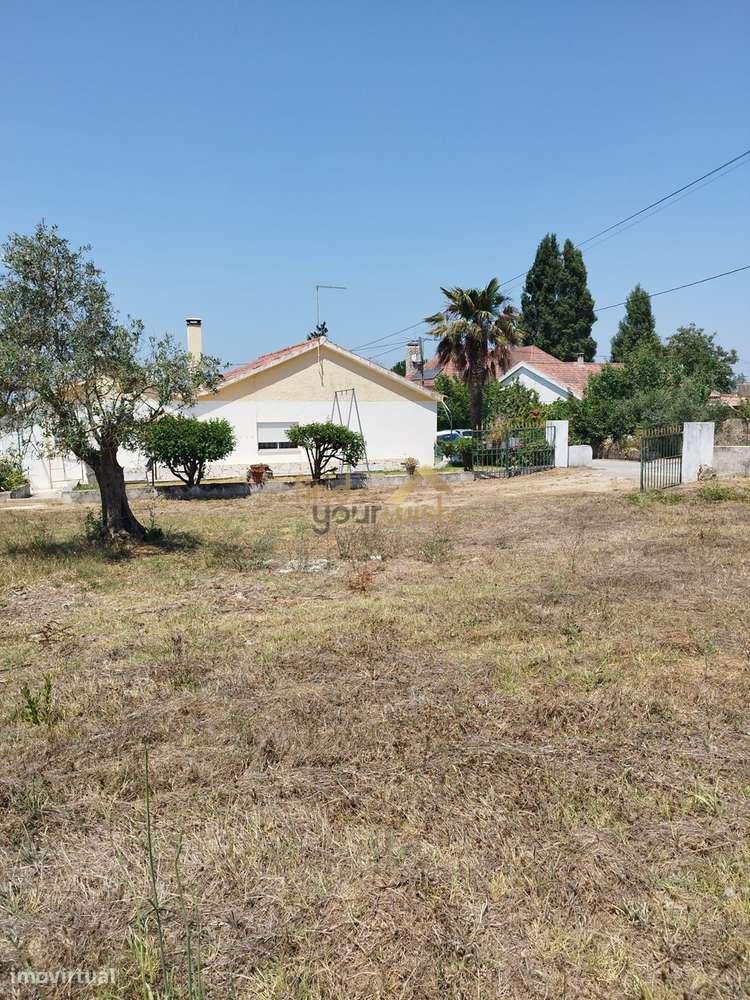 Terreno Urbano com 2.608m² em Moleanos - Grande imagem: 3/9