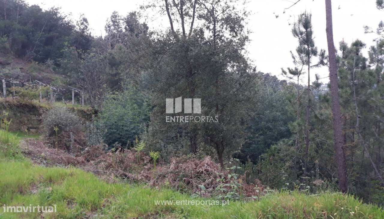 Venda Terreno, Ancede, Baião - Grande imagem: 2/17