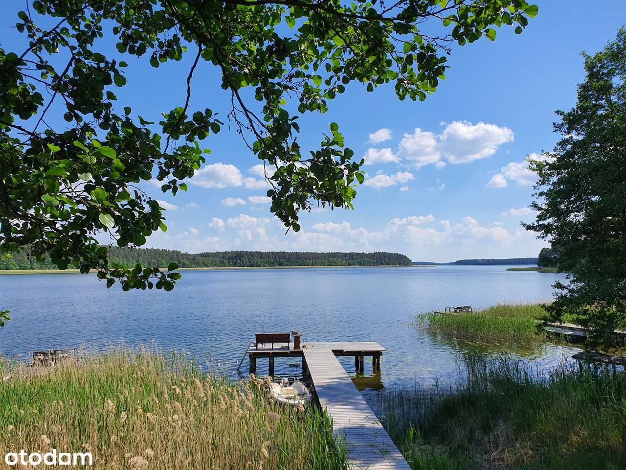 Działki nad jeziorem Stackim * Z WARUNKAMI ZABUDOWY! - Pełny obrazek: 5/14