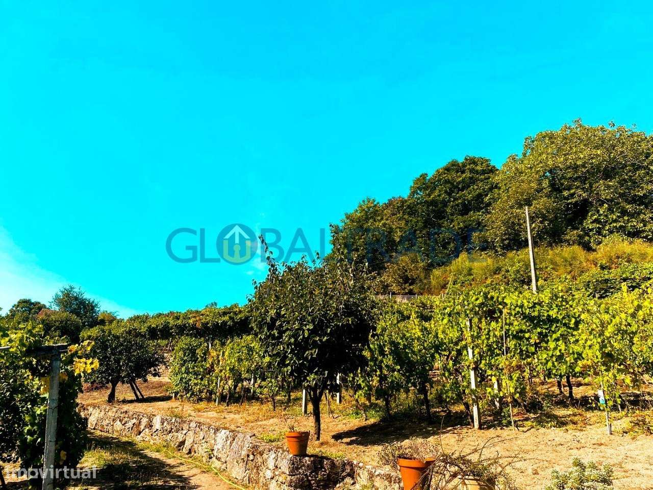 Quinta com 5250 m² & Moradia T1 em Pedra – Baião-16