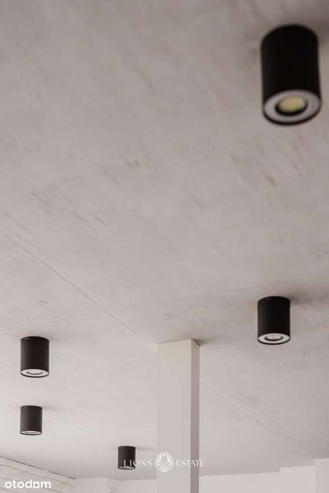 Ściana okien, zieleń i cisza|35m² na Mokotowskiej-15