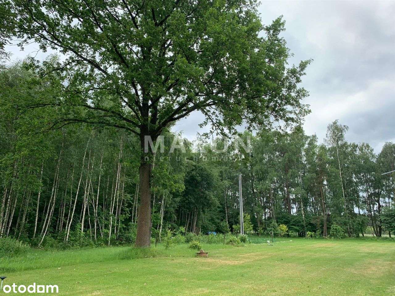 Obiekt na różne typy działalności. - Pełny obrazek: 4/20