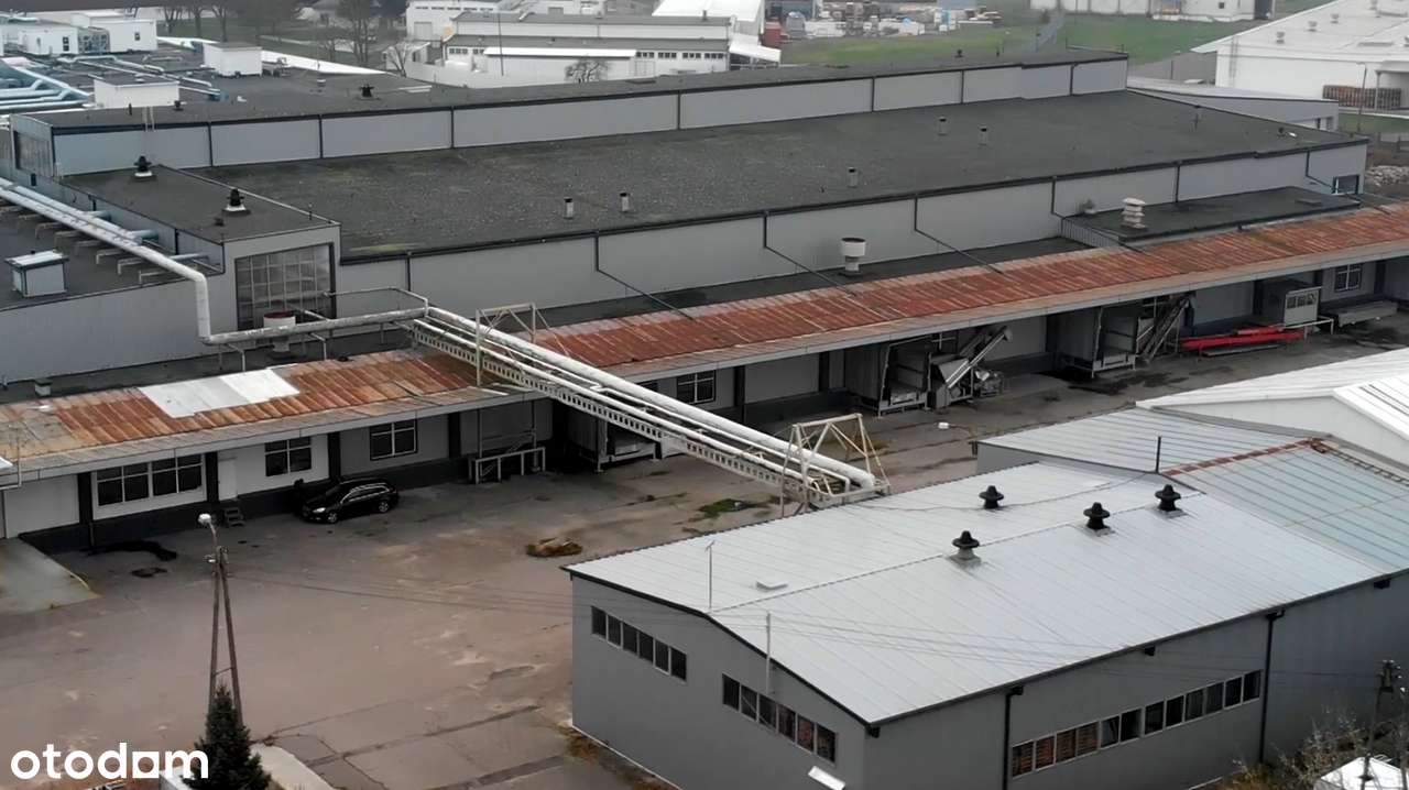 Kompleks hal magazynowych z chłodniami - Pełny obrazek: 2/5