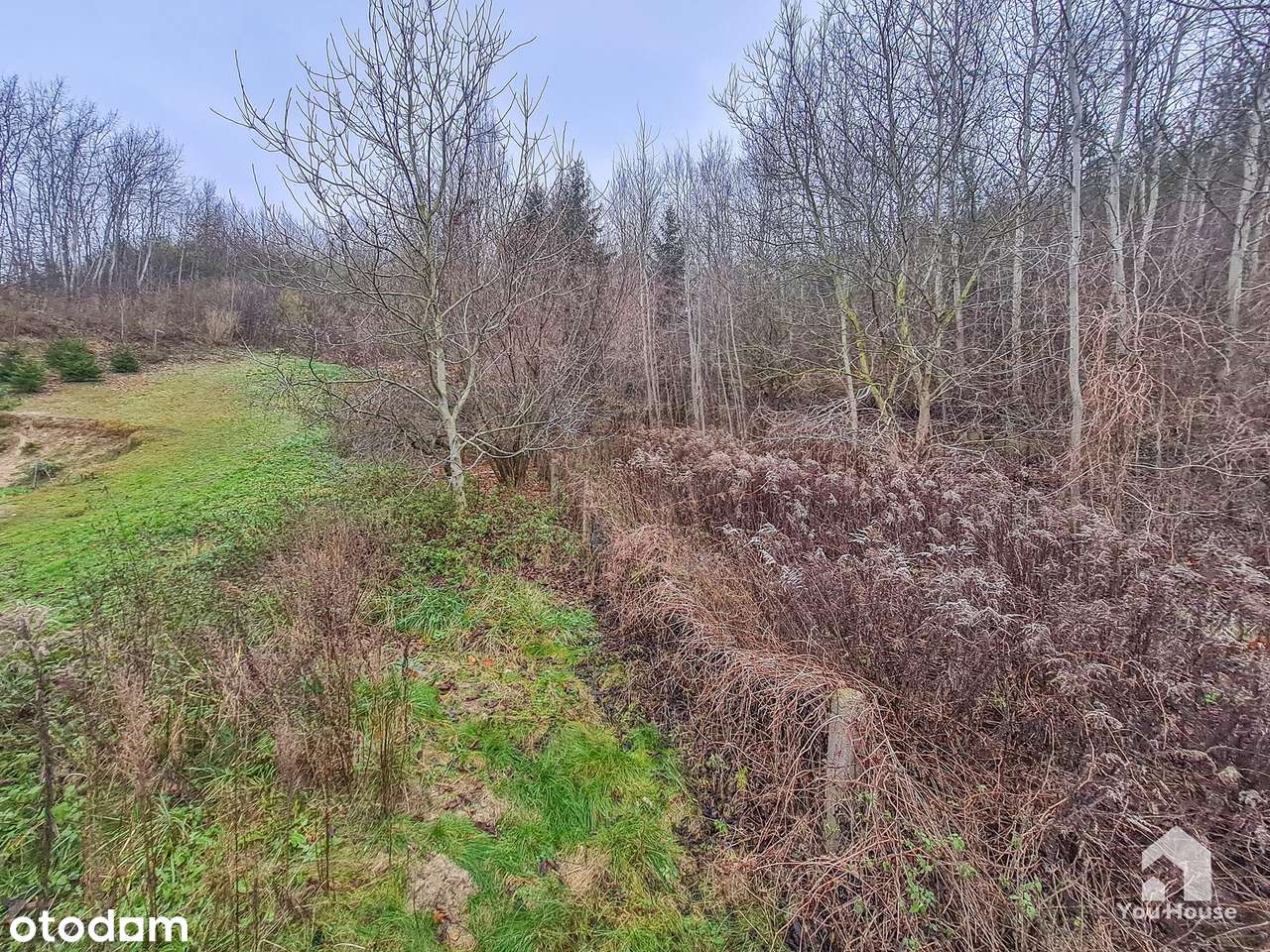 Dom z budynkiem gospodarczym - Nowe Miasto Lubawskie-19