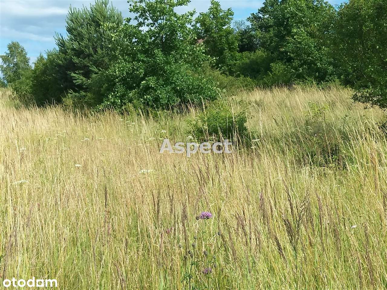Duża działka na wzgórzu - Pełny obrazek: 4/8