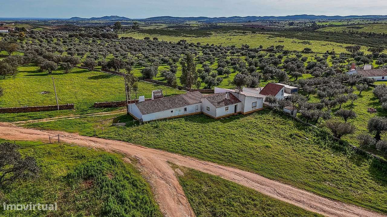Quinta  para venda-12