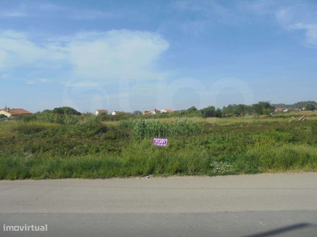Terreno Rústico Aveiro - Grande imagem: 2/8