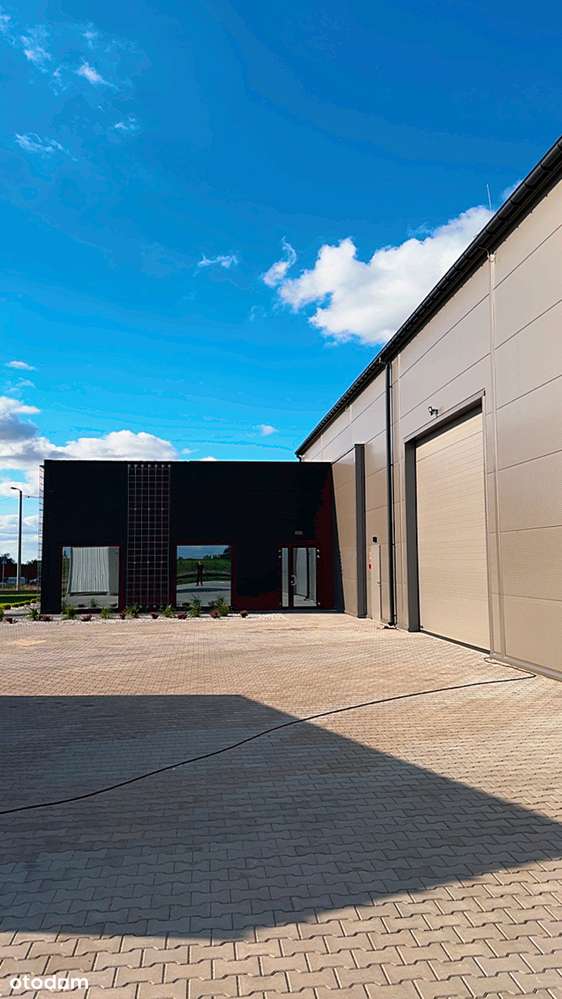 Hala produkcyjno-magazynowa z suwnicą 6,3t okolice Orlenu Olefiny III - Pełny obrazek: 4/8