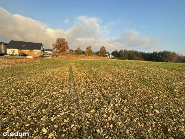 Działka budowlana 900 m2 do 4 lokali - Pełny obrazek: 2/12