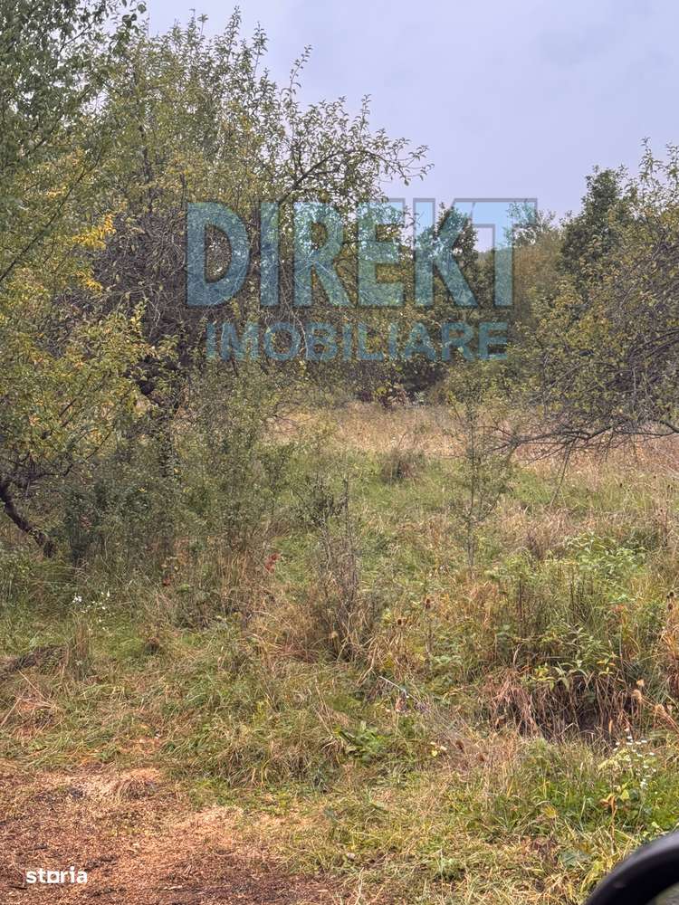 Teren intravilan , zona Viisoara-2