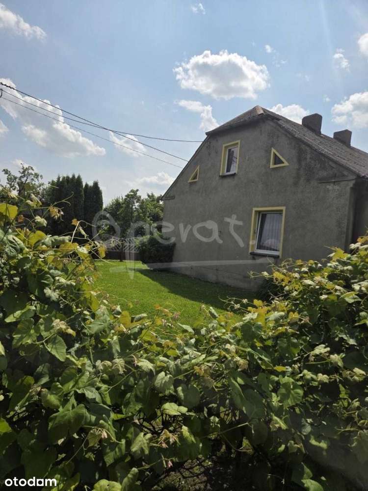 Dom z gruntami rolnymi - Pełny obrazek: 4/12