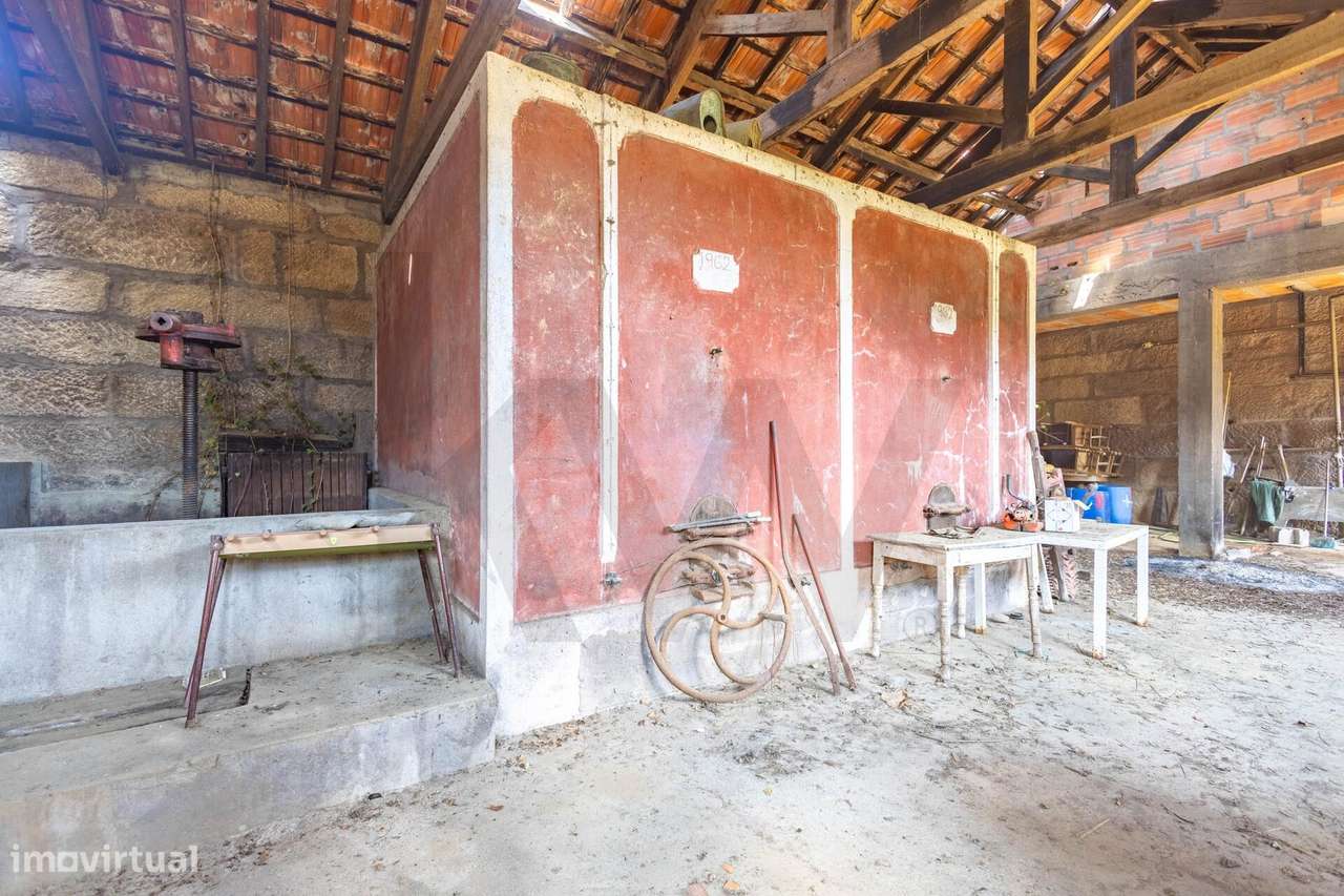 Quinta do Fojo / T8 / Vinhas / Oliveiras - Grande imagem: 5/31