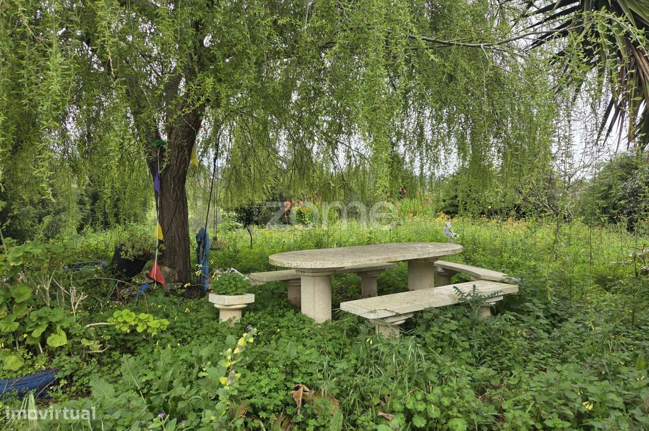 Lote de terreno com moradia-16