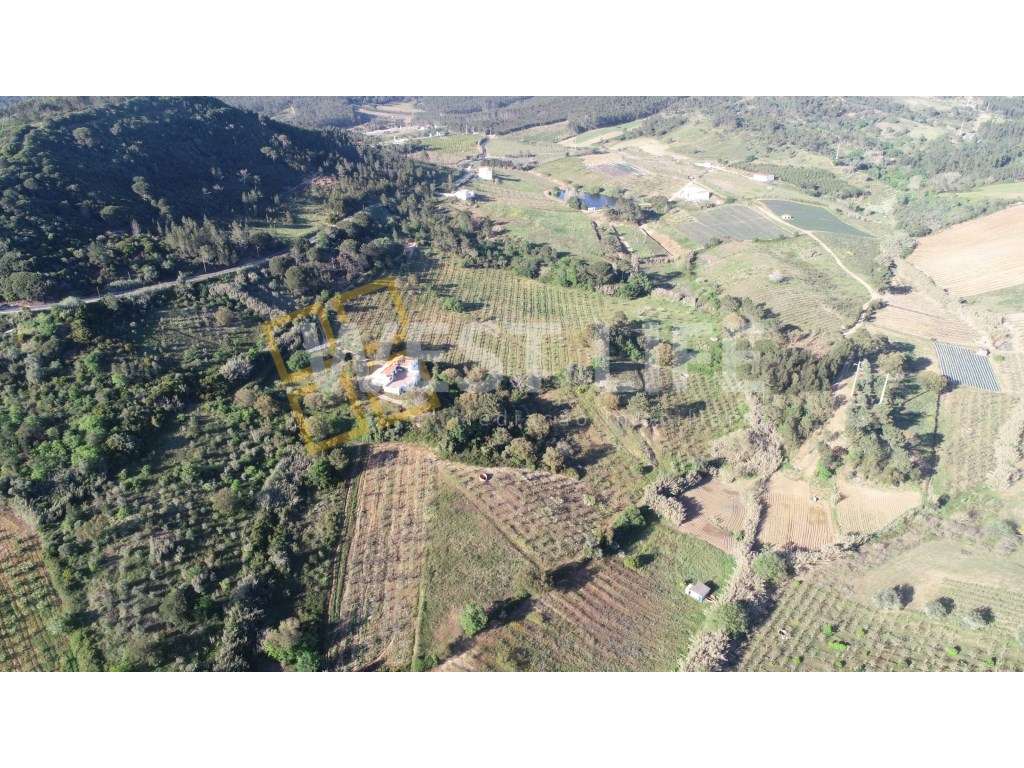Terreno em Sobral de Abelheira - Terreno rústico com 24123m2 - Grande imagem: 4/15