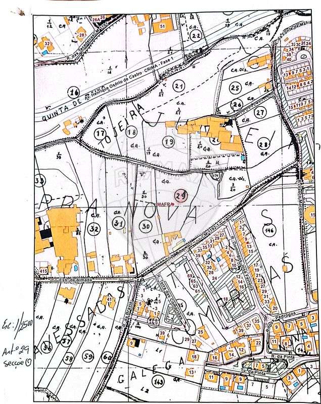 Terreno  para venda - Grande imagem: 3/3