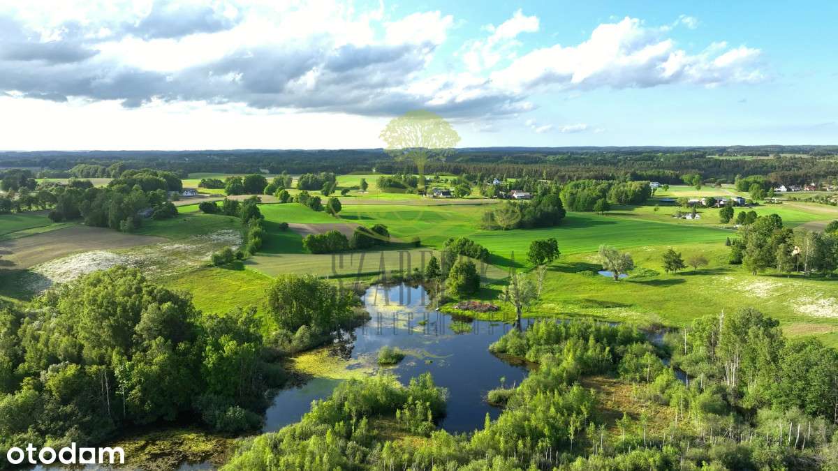 Pod działalność usługową lub dom z usługami !!!-13