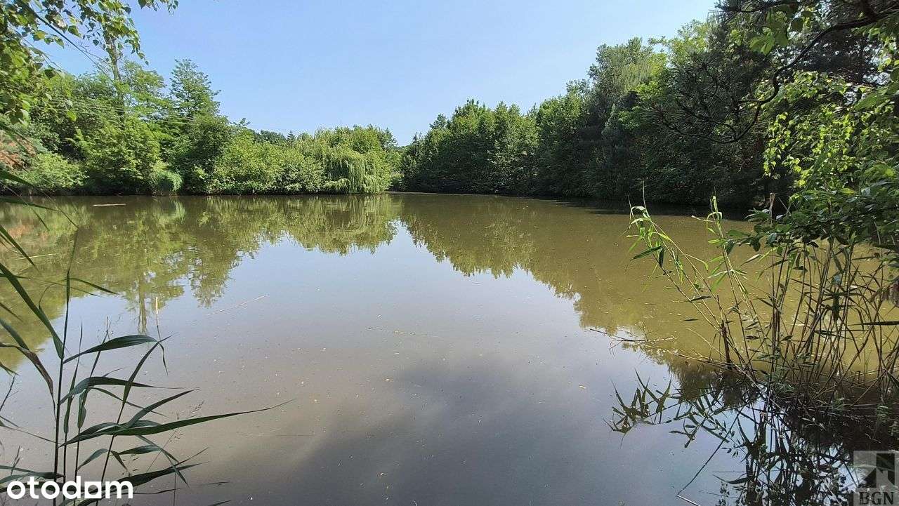 Działka budowlana ze stawem Oborniki Śląskie.-6