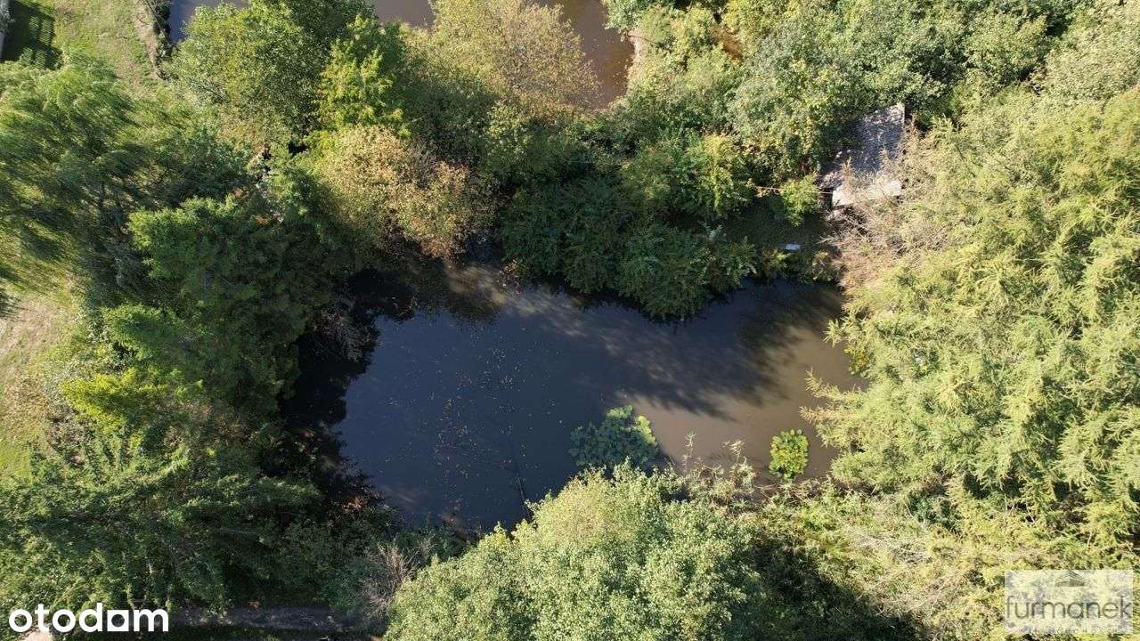 Działka rekreacyjna z domkiem letniskowym i stawem - Pełny obrazek: 4/18