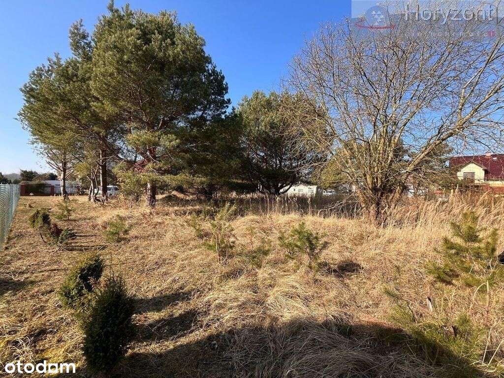 Działka nad morzem 400m od plaży - Rogowo - Pełny obrazek: 4/15