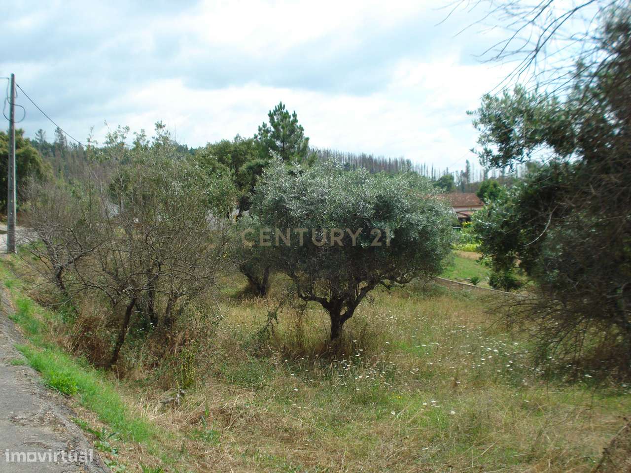 Terreno para construção com vistas boas num local sossegado a 10 min d - Grande imagem: 5/5