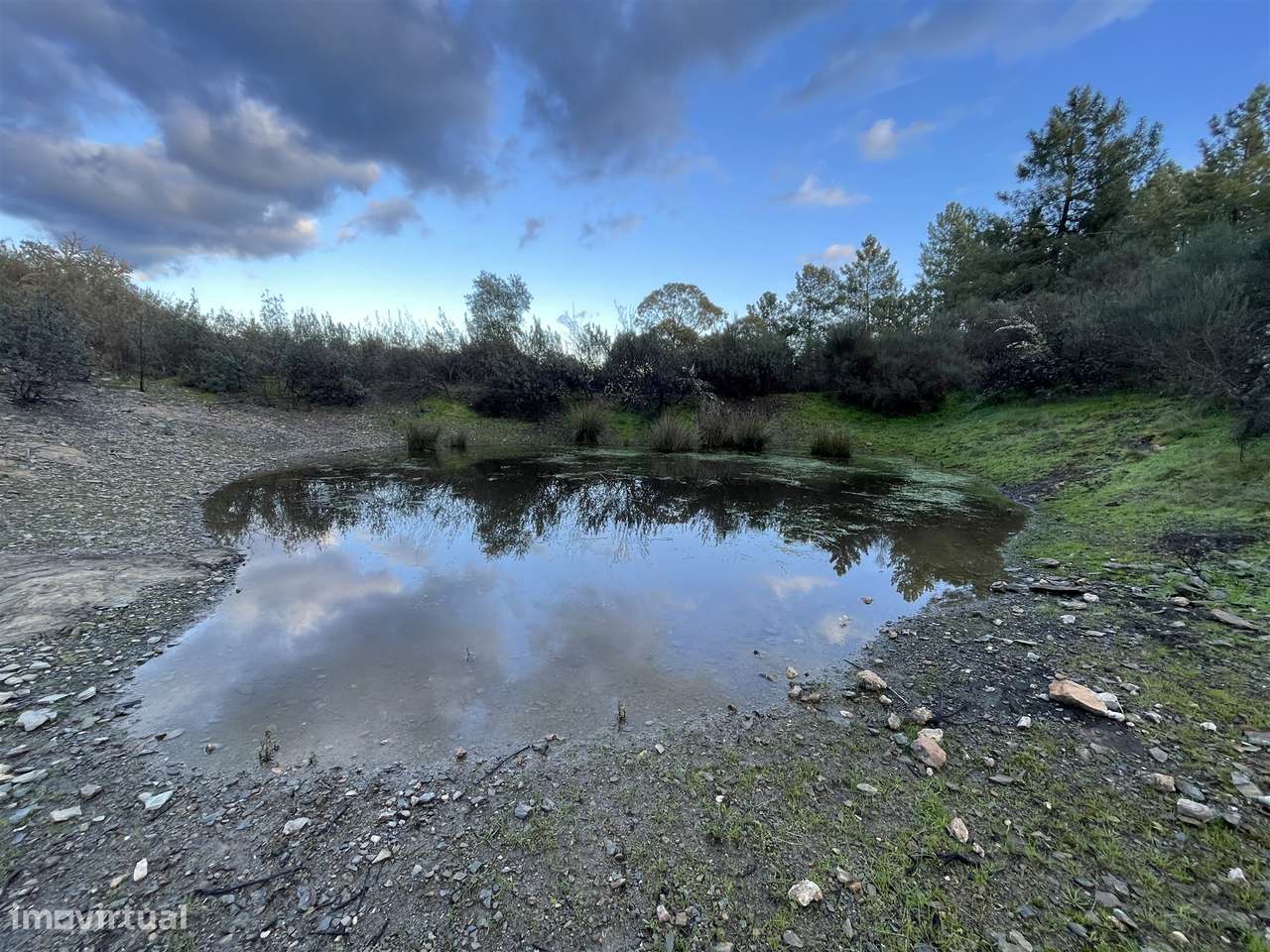 Herdade T5 Venda em Escalos de Baixo e Mata,Castelo Branco-6