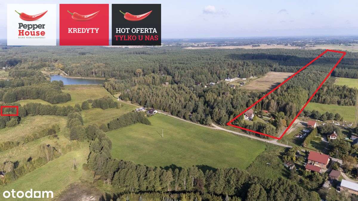 Piękna Działka Z Domem i Lasem W Sercu Kaszub! - Pełny obrazek: 5/20
