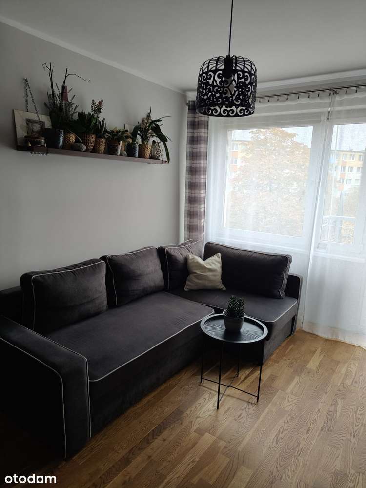 Mieszkanie 3 pokoje / 48m2 /os Strzemięcin /2 piętro ( rezerwacja) - Pełny obrazek: 4/20