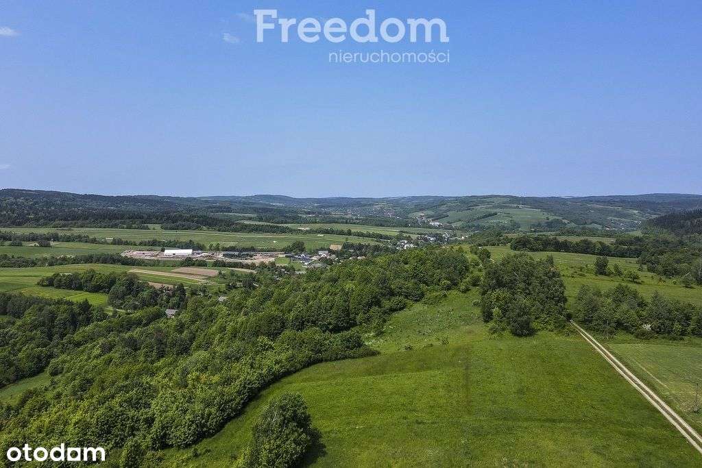 1,38 ha pod siedlisko, pasiekę lub fotowoltaikę - Pełny obrazek: 1/18