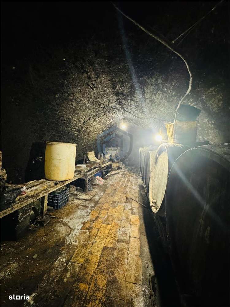 Crama + Teren - Imagine principală: 3/4