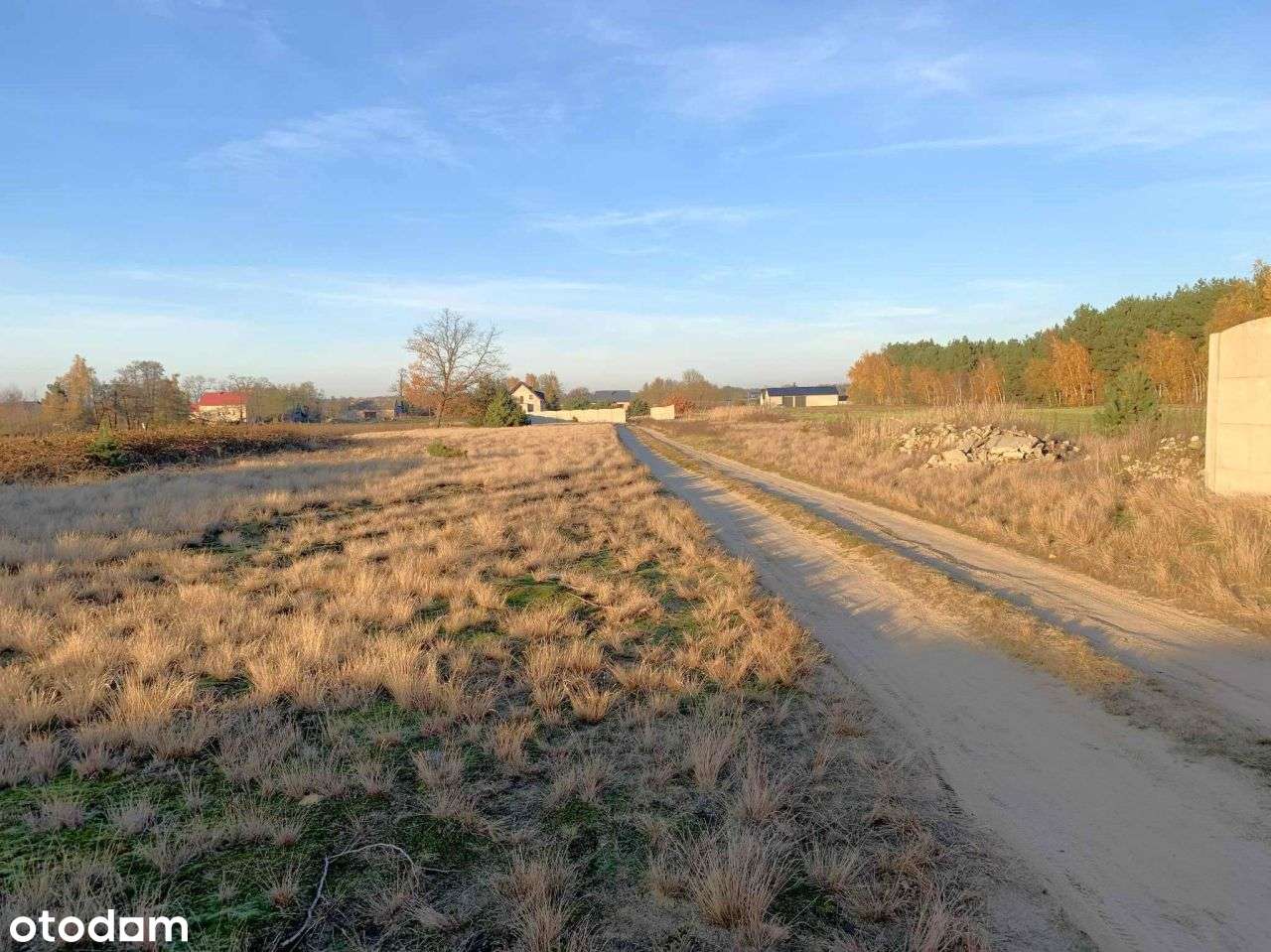 Dom na sprzedaż z dużą działką Natalia g. Władysła-3