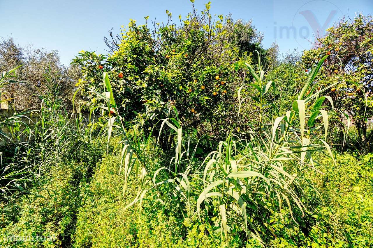 Terreno em Ermidas Sado-6