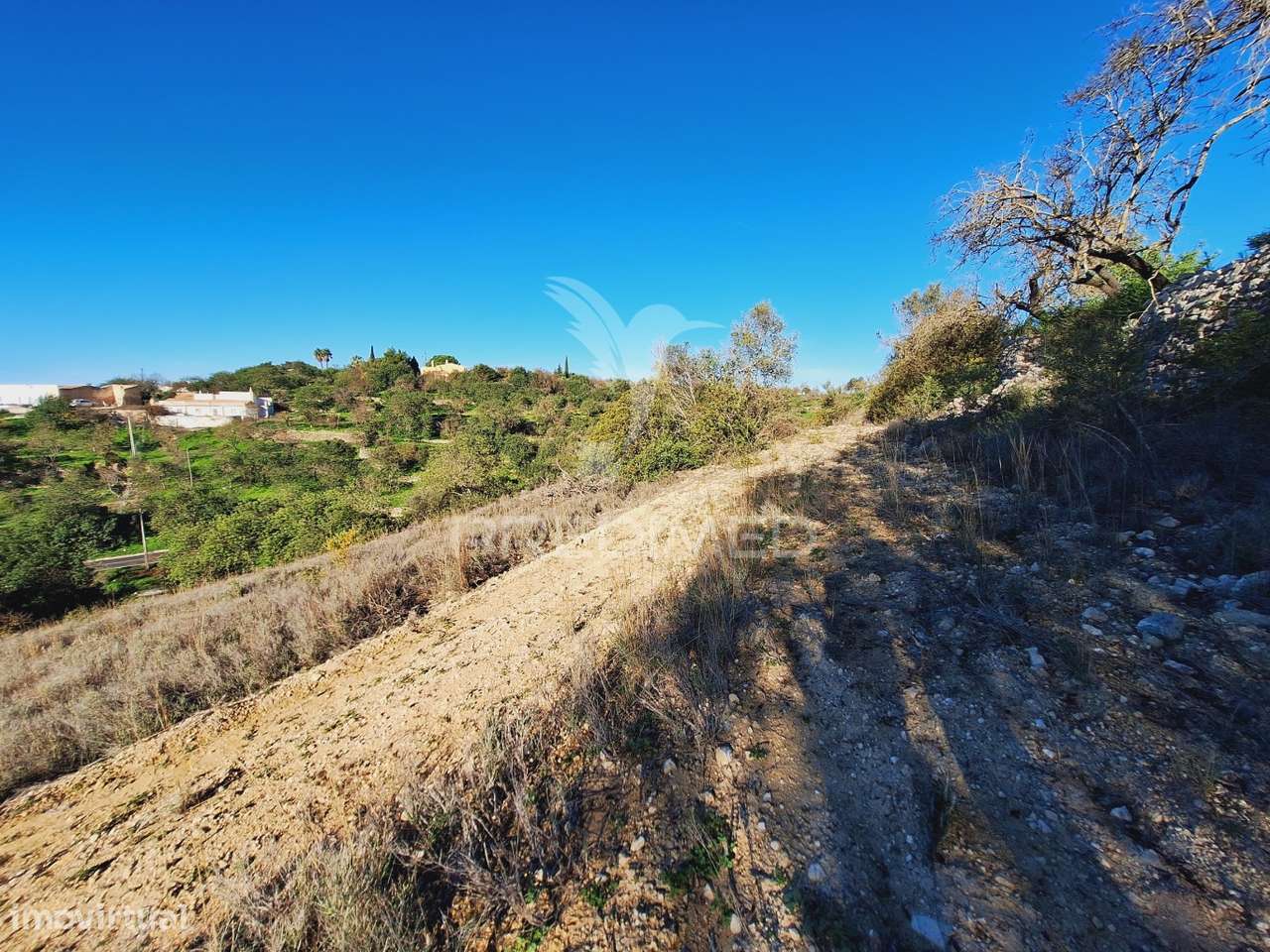 Terreno rústico em Alfontes - Boliqueime - Grande imagem: 5/28