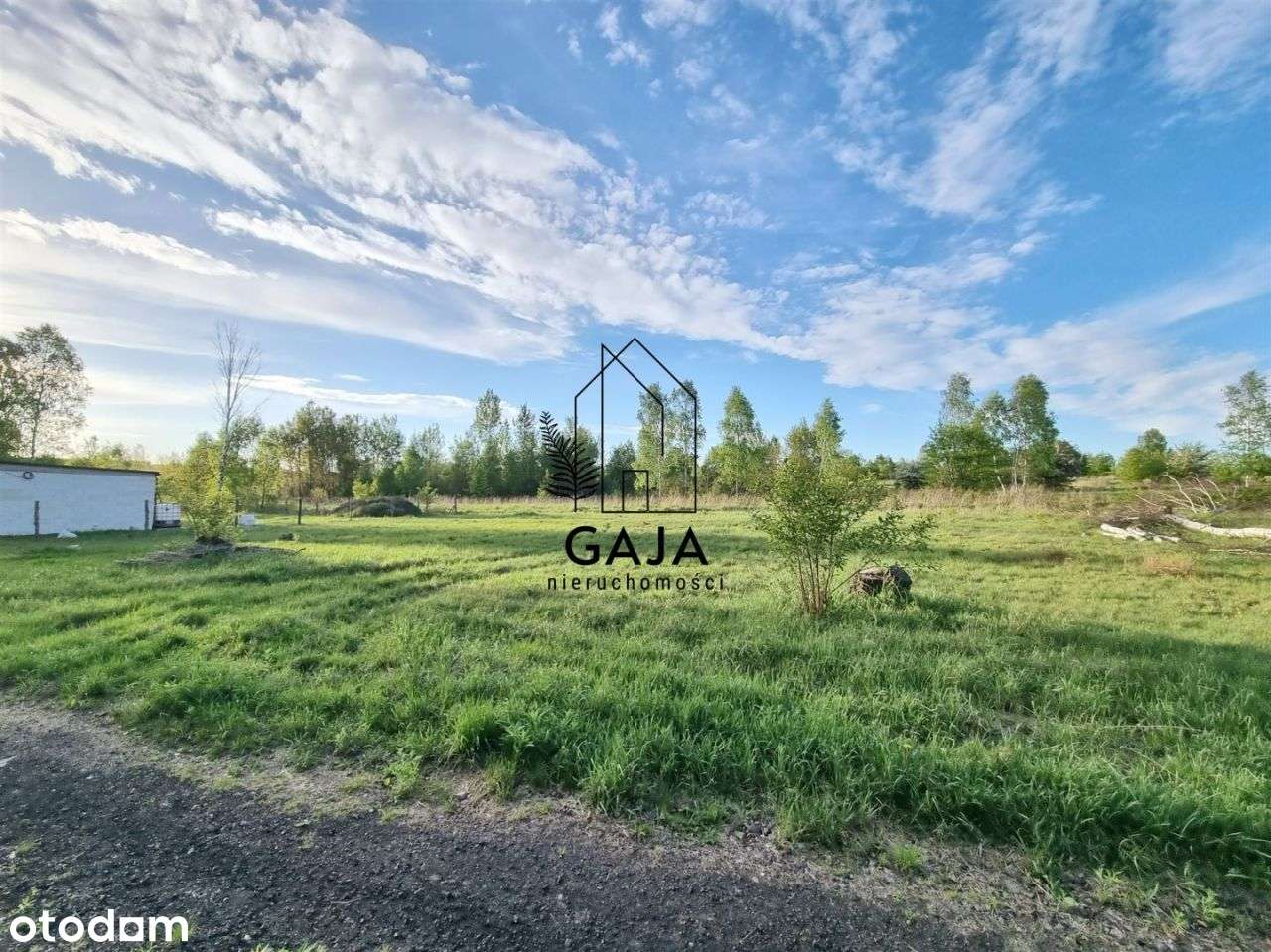 Szeroka działka w malowniczej okolicy Łysiec - Pełny obrazek: 4/4