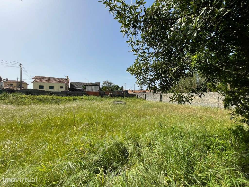 MORADIA V5 - MURTOSA-21