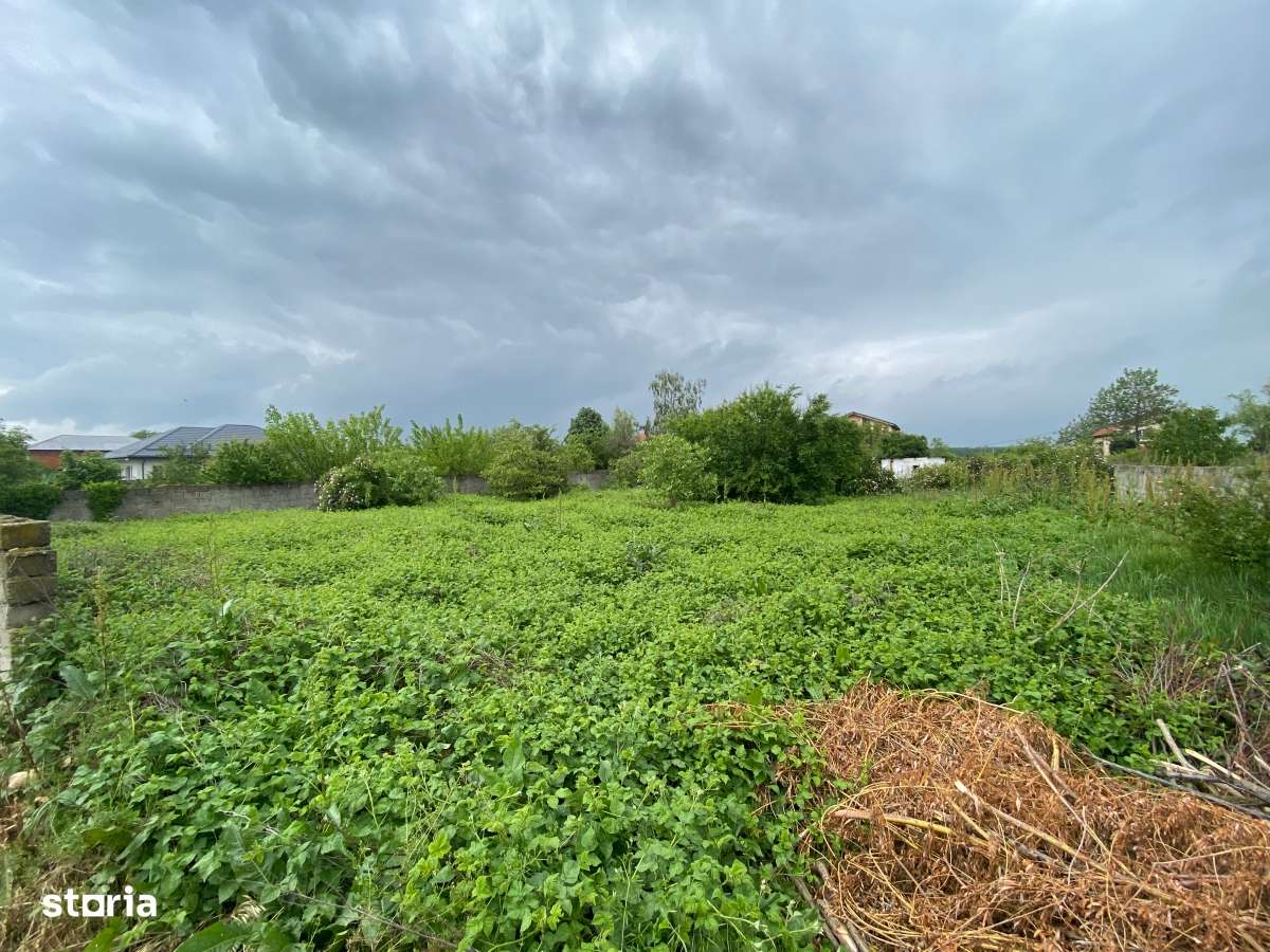 Islaz - Branesti - teren 1374mp - canalizare - gaze - curent - asfalt-0