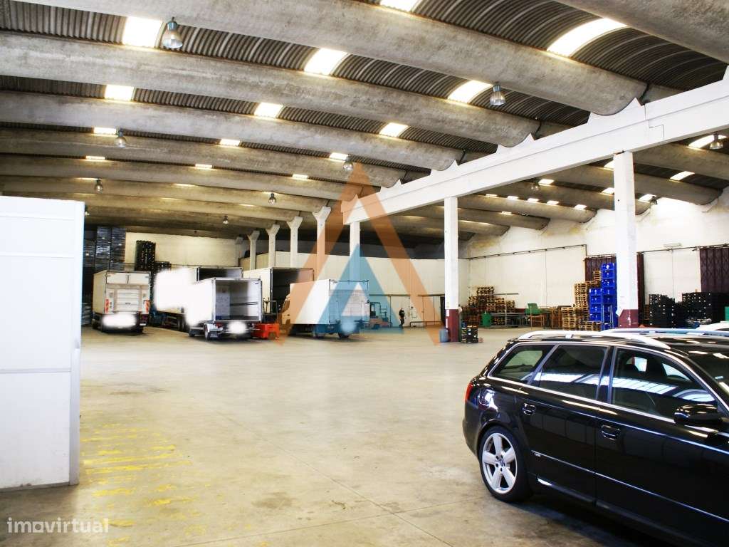 Grande área de armazém e logradouro, muito bem localizado - Grande imagem: 4/40